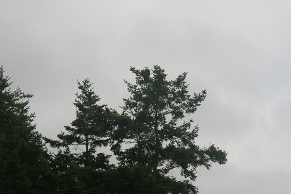IMG_7542.JPG