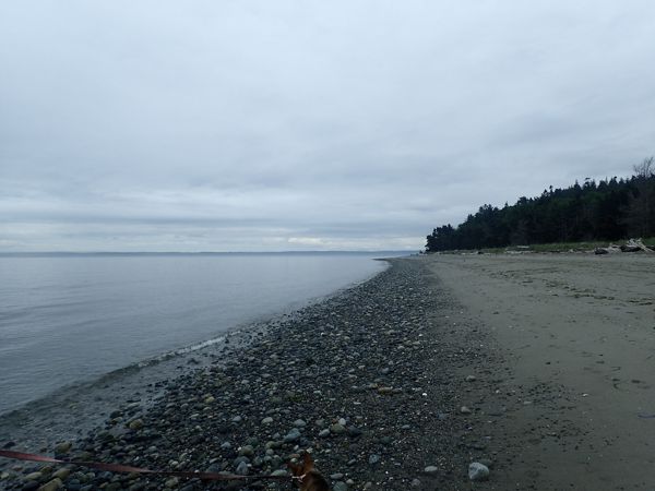 P6181648.JPG