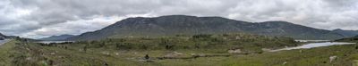 PXL_20260624_091851241_pano.jpg