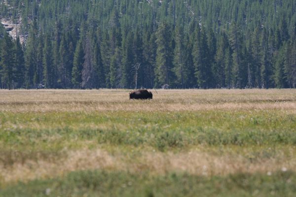 img_4684.jpg