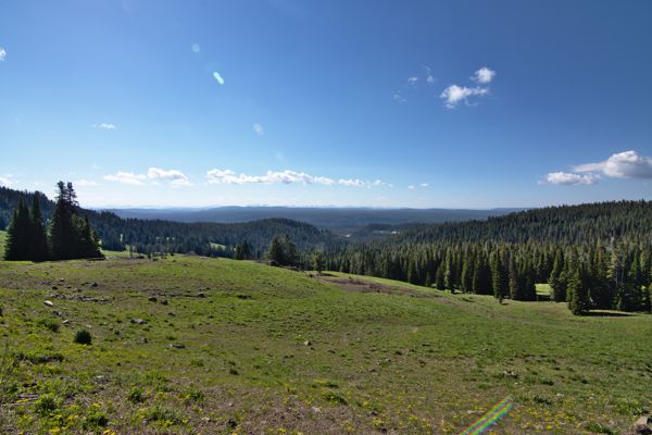 DSC_2197.jpg