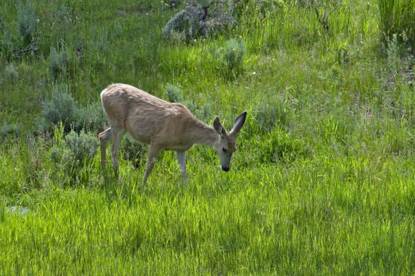 DSC_2291.jpg