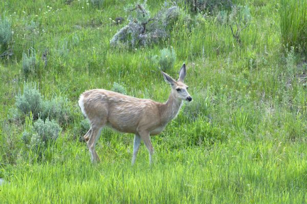DSC_2293.jpg
