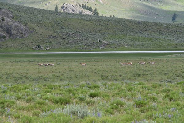 DSC_2307.JPG