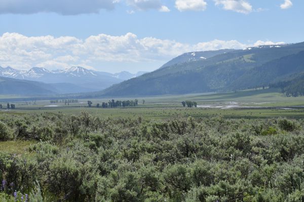 DSC_2321.JPG