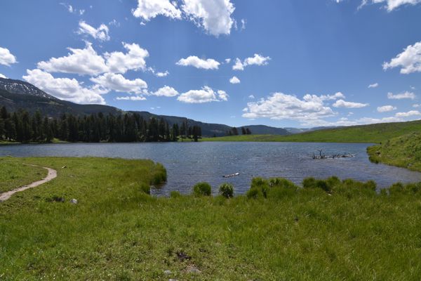 DSC_2453.JPG