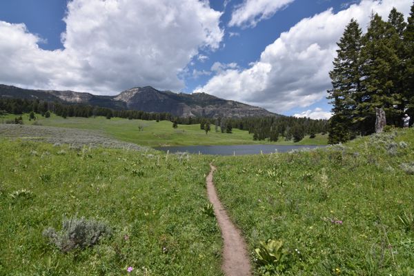 DSC_2490.JPG