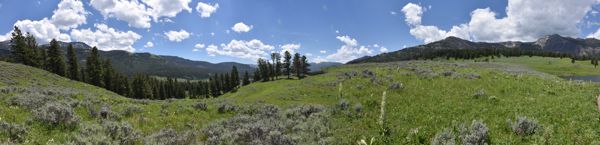 DSC_2491-DSC_2497.jpg