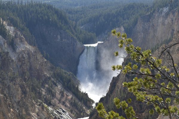 DSC_2566.JPG