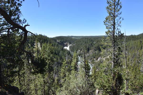 DSC_2635.JPG